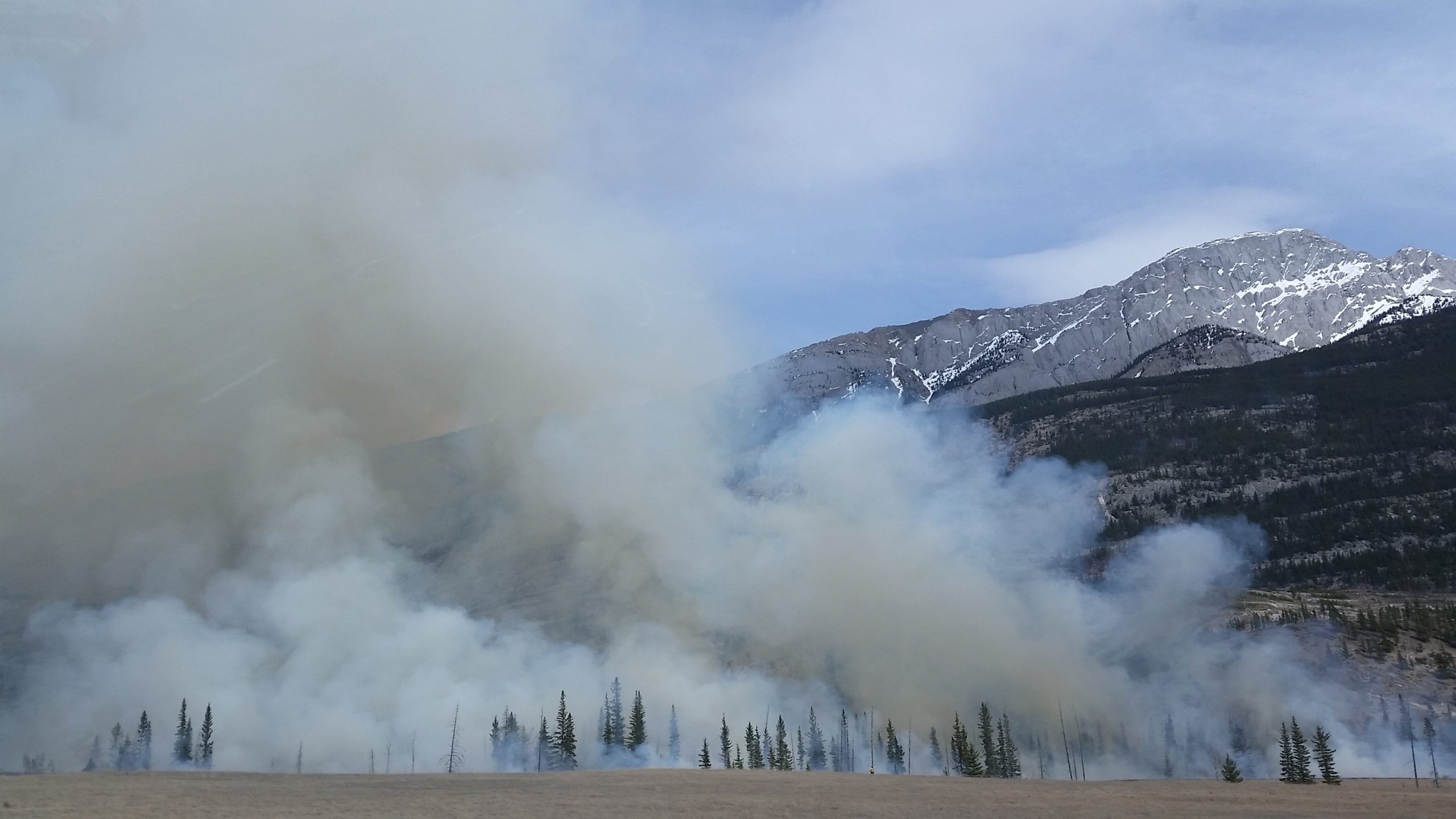 Colorado Wildfire Restoration and Prevention
